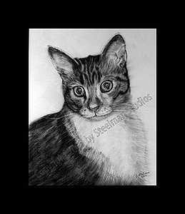 Kahlua, Image 1.