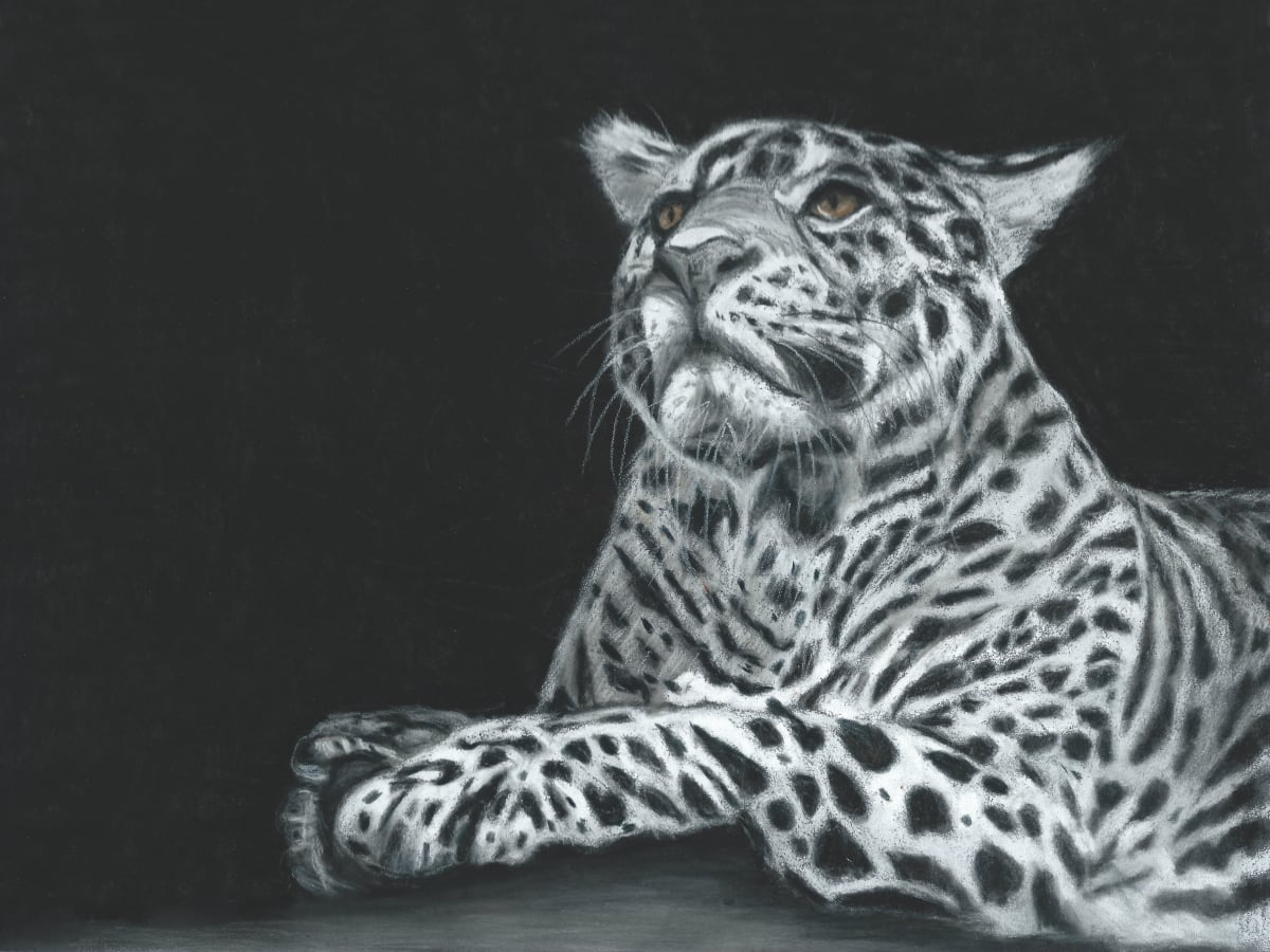 Leaping Leopard by Jane D. Steelman 