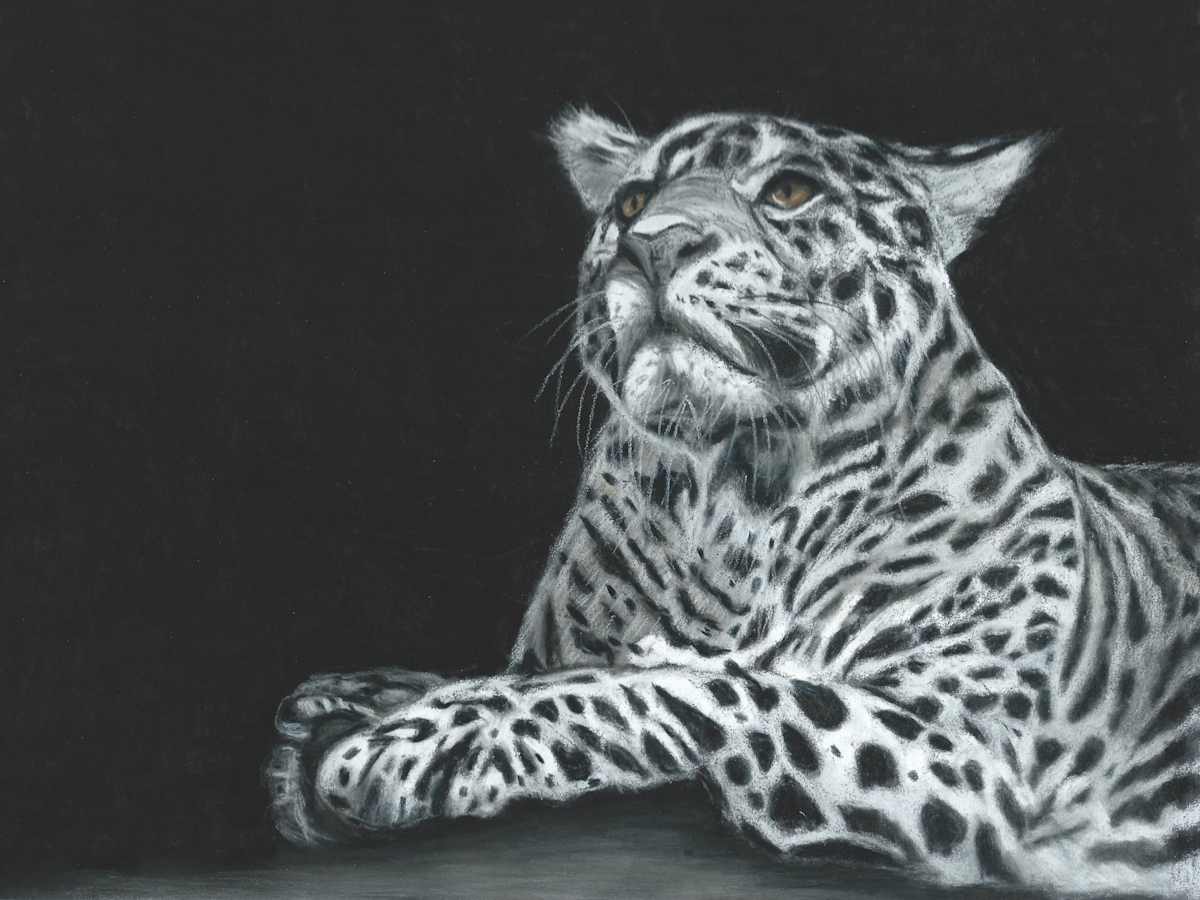 Leaping Leopard by Jane D. Steelman, Image 1.