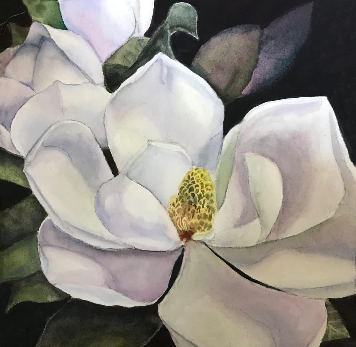 Magnolia 2 