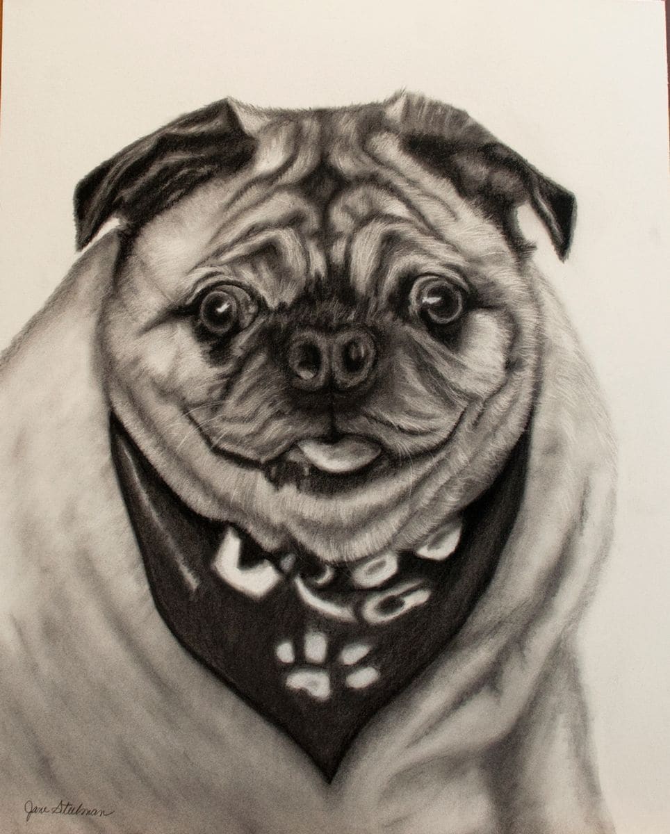Milo (commission) by Jane D. Steelman, Image 1.