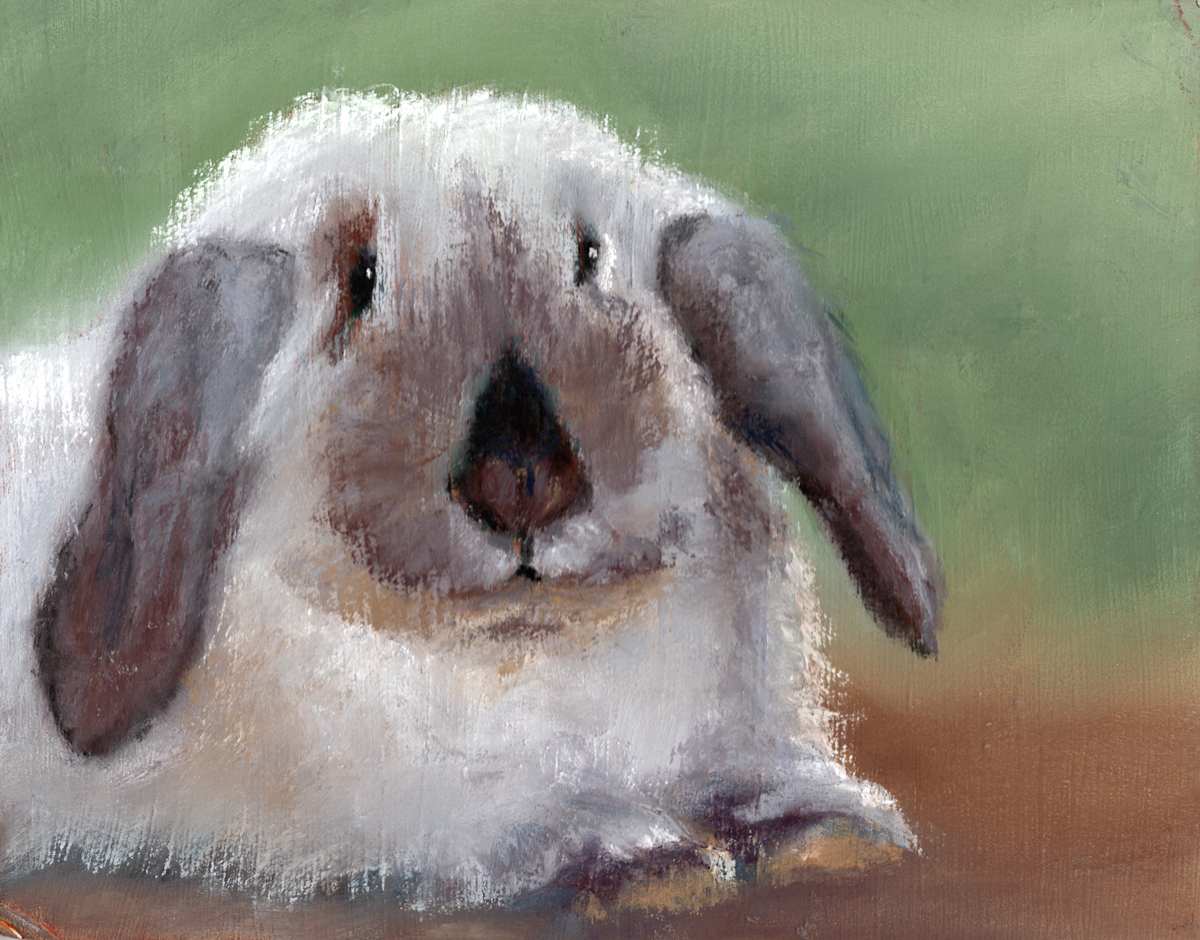 Punky by Jane D. Steelman, Image 1.