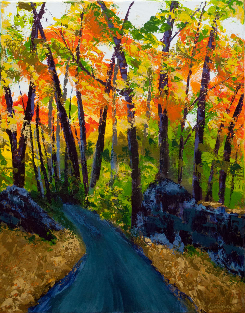 Road to the River by Jane D. Steelman 