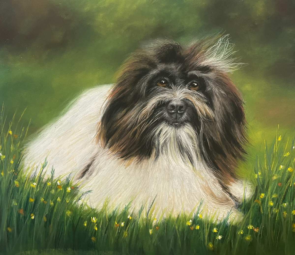 Commission: Sam by Jane D. Steelman, Image 1.