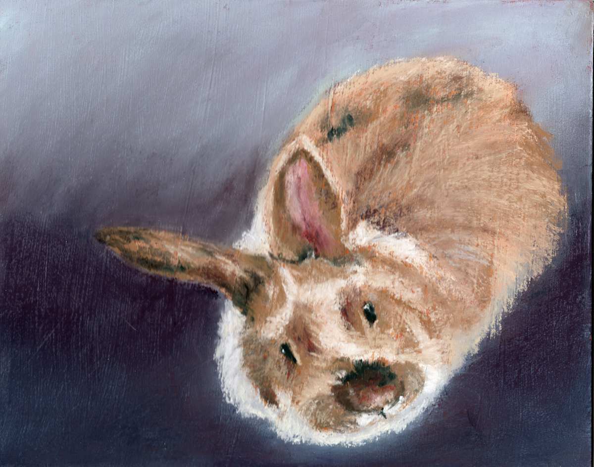 Sister Bunny by Jane D. Steelman, Image 1.