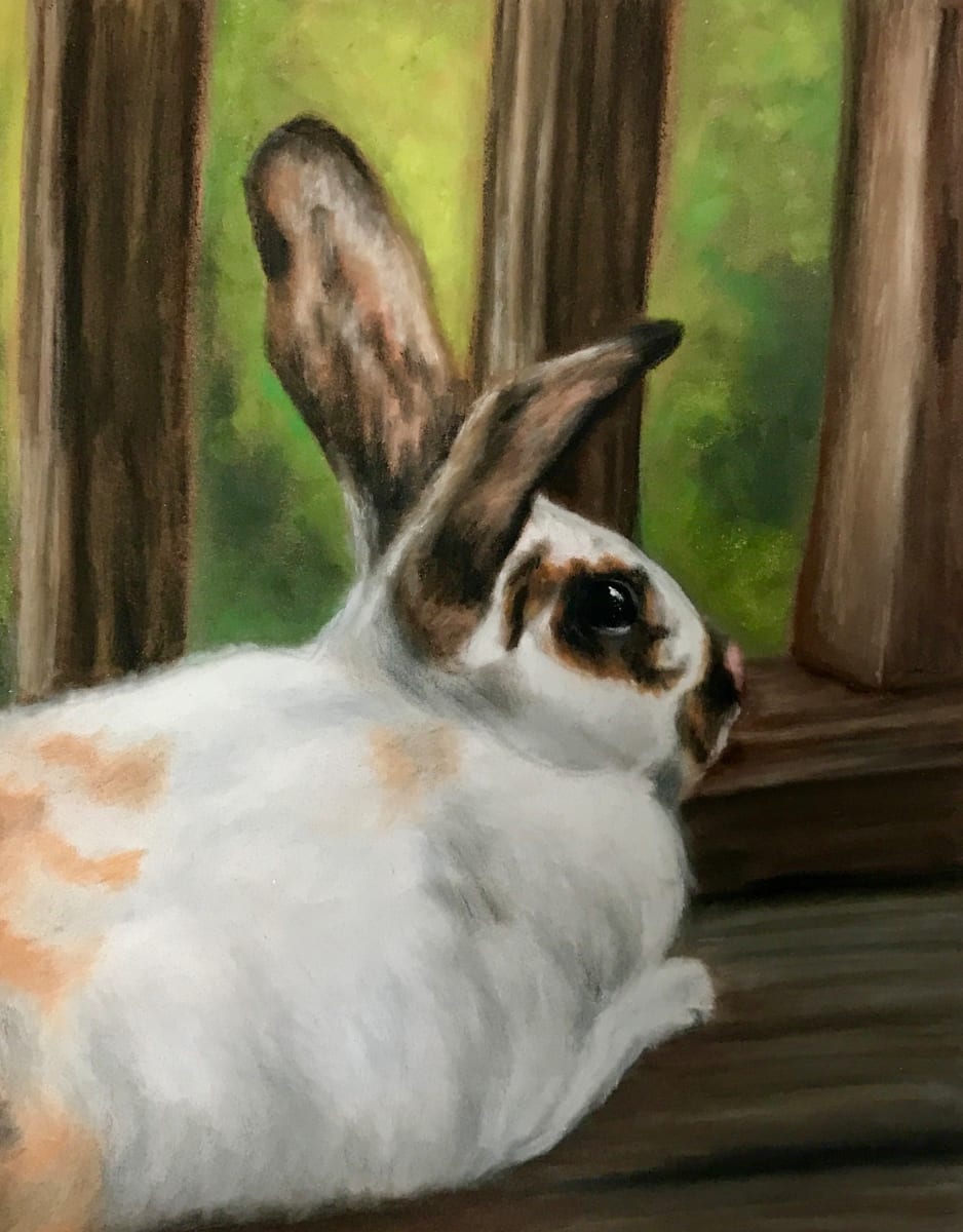 Snickers, The Momma Bunny 