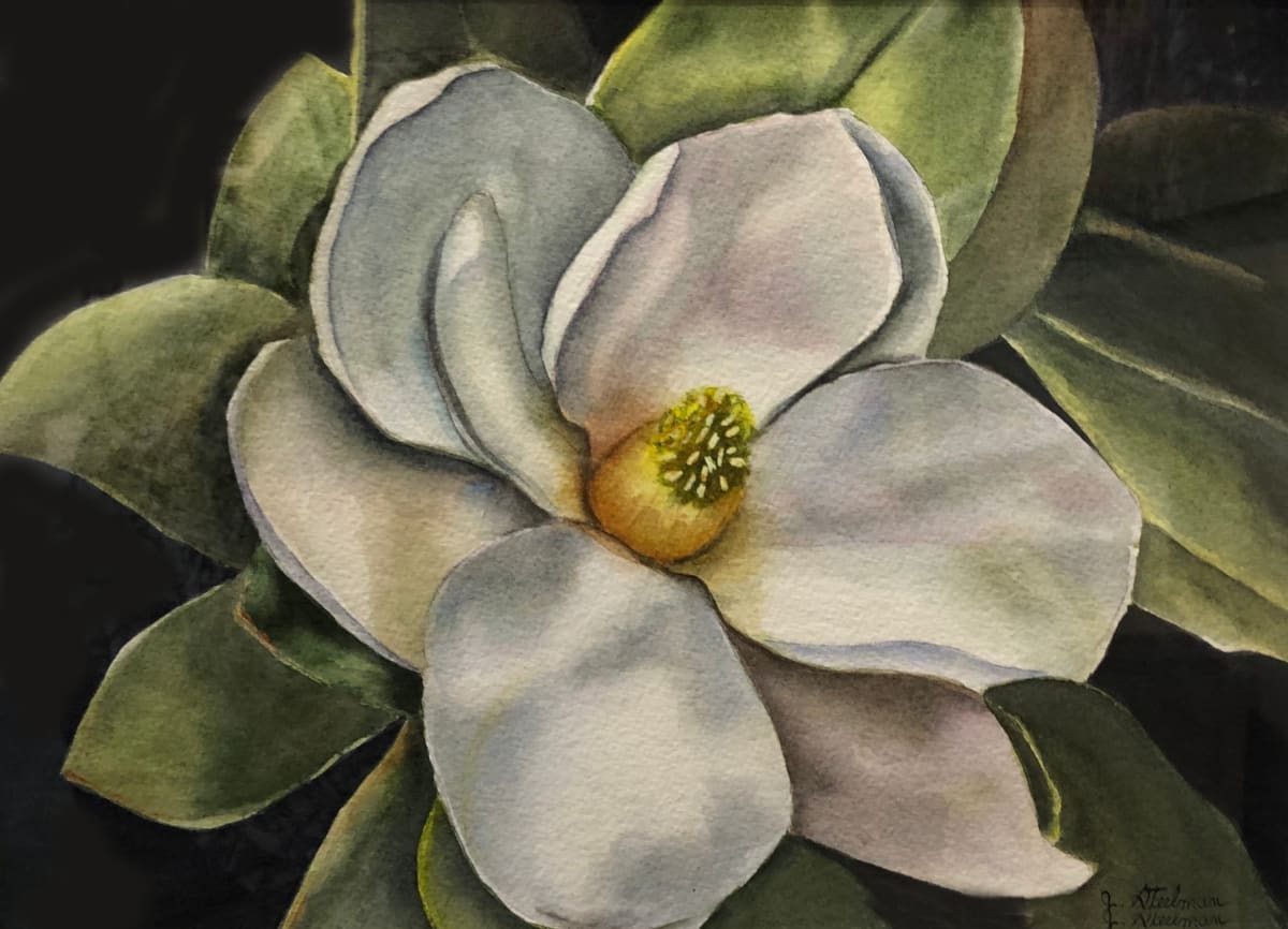 Sugar Magnolia by Jane D. Steelman 