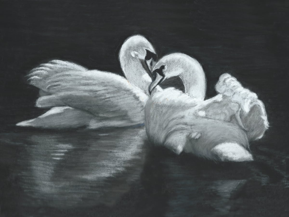 Swan Mates by Jane D. Steelman 