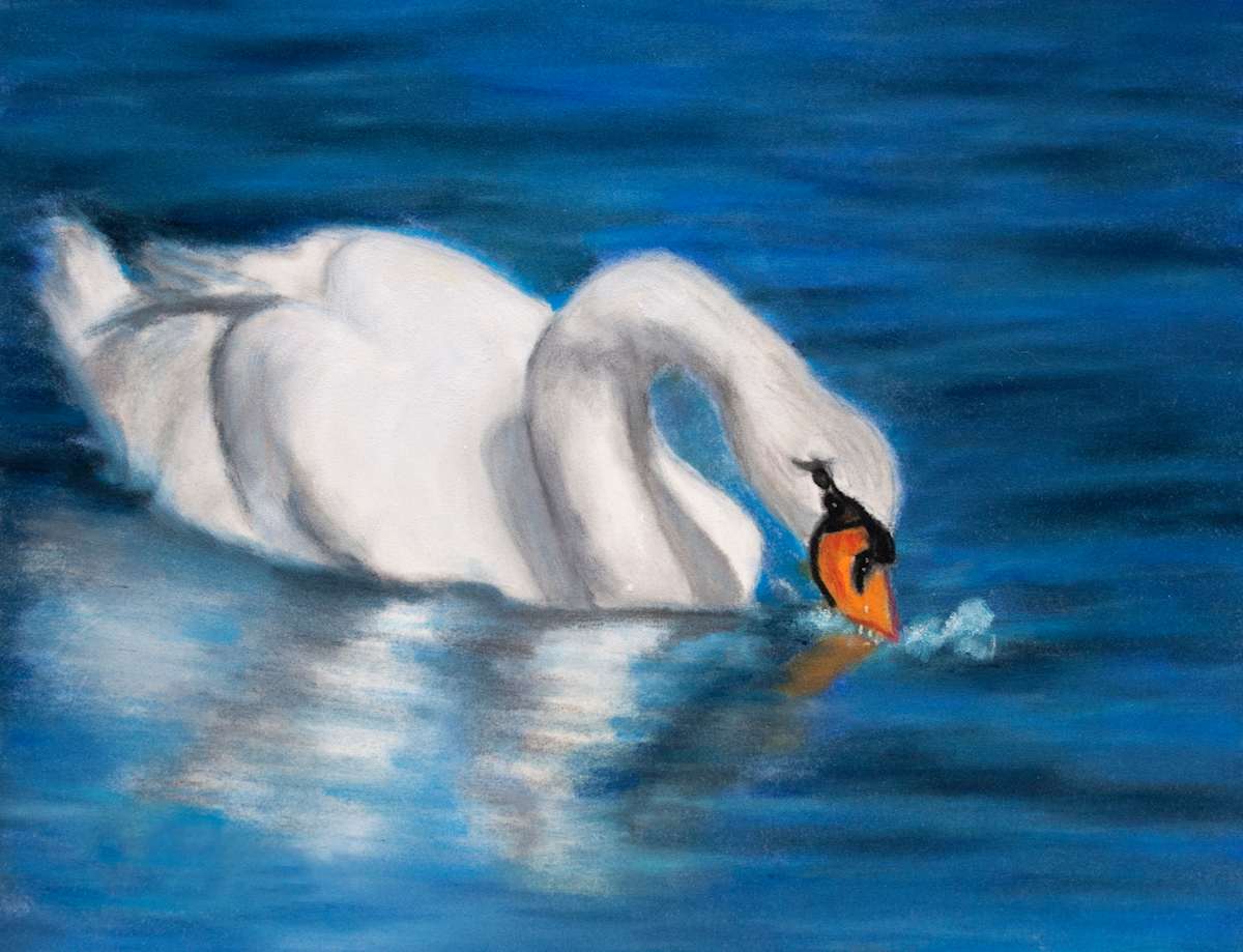 The Swan by Jane D. Steelman 
