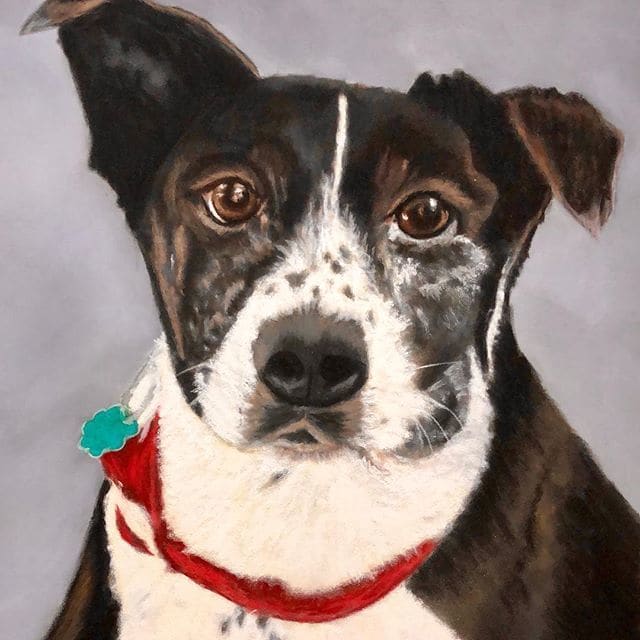 Tippy Dog, Image 1.