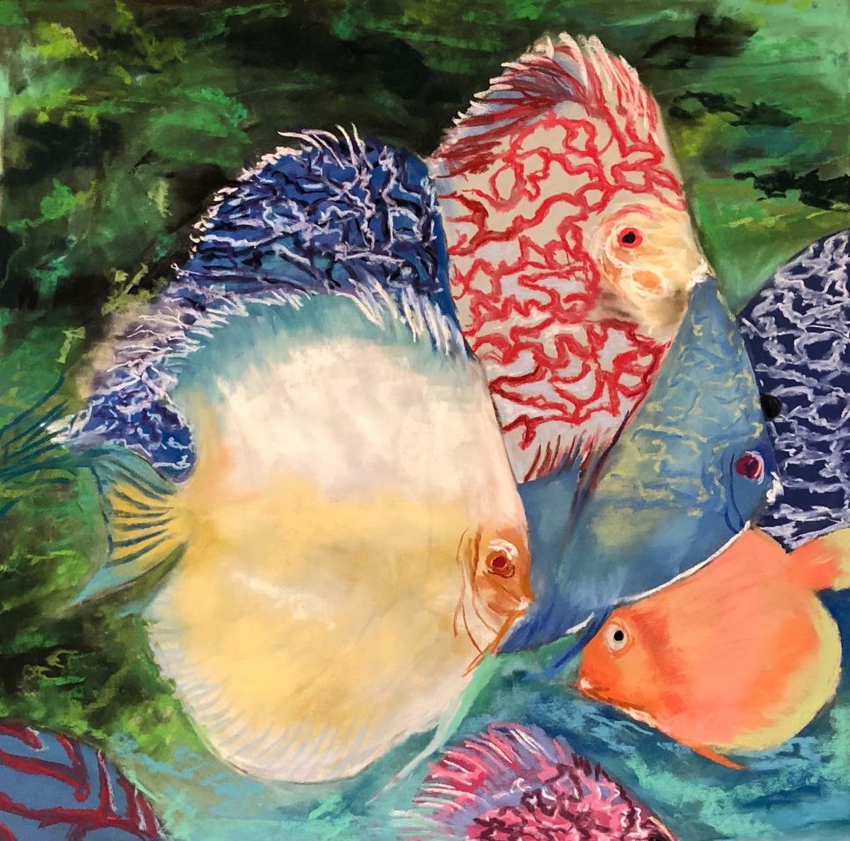 “Discus Fish”- Custom Giclee on Canvas by Lisa Rose Fine Art 