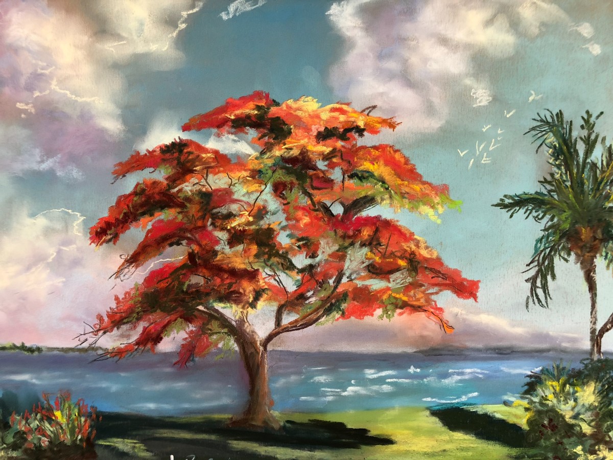 Royal Poinciana Tree by Lisa Rose Fine Art 