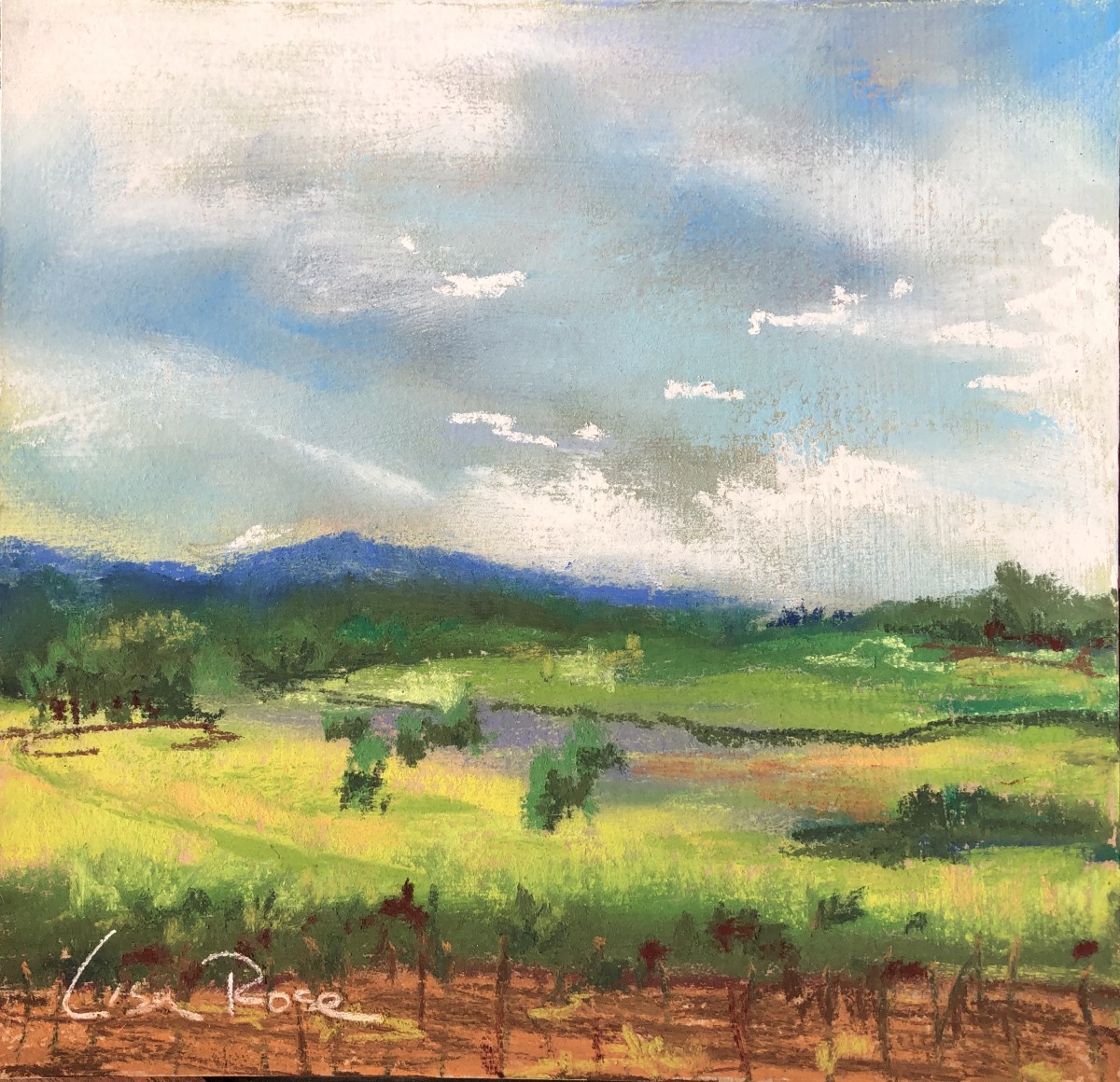 Sonoma 2 by Lisa Rose Fine Art 