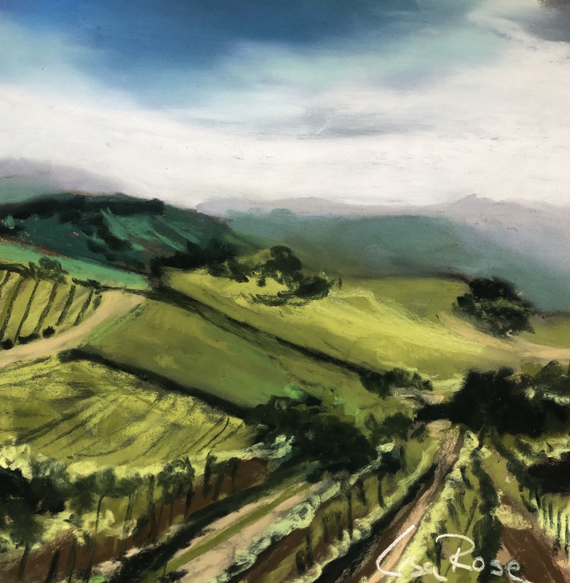 Sonoma 3 by Lisa Rose Fine Art 