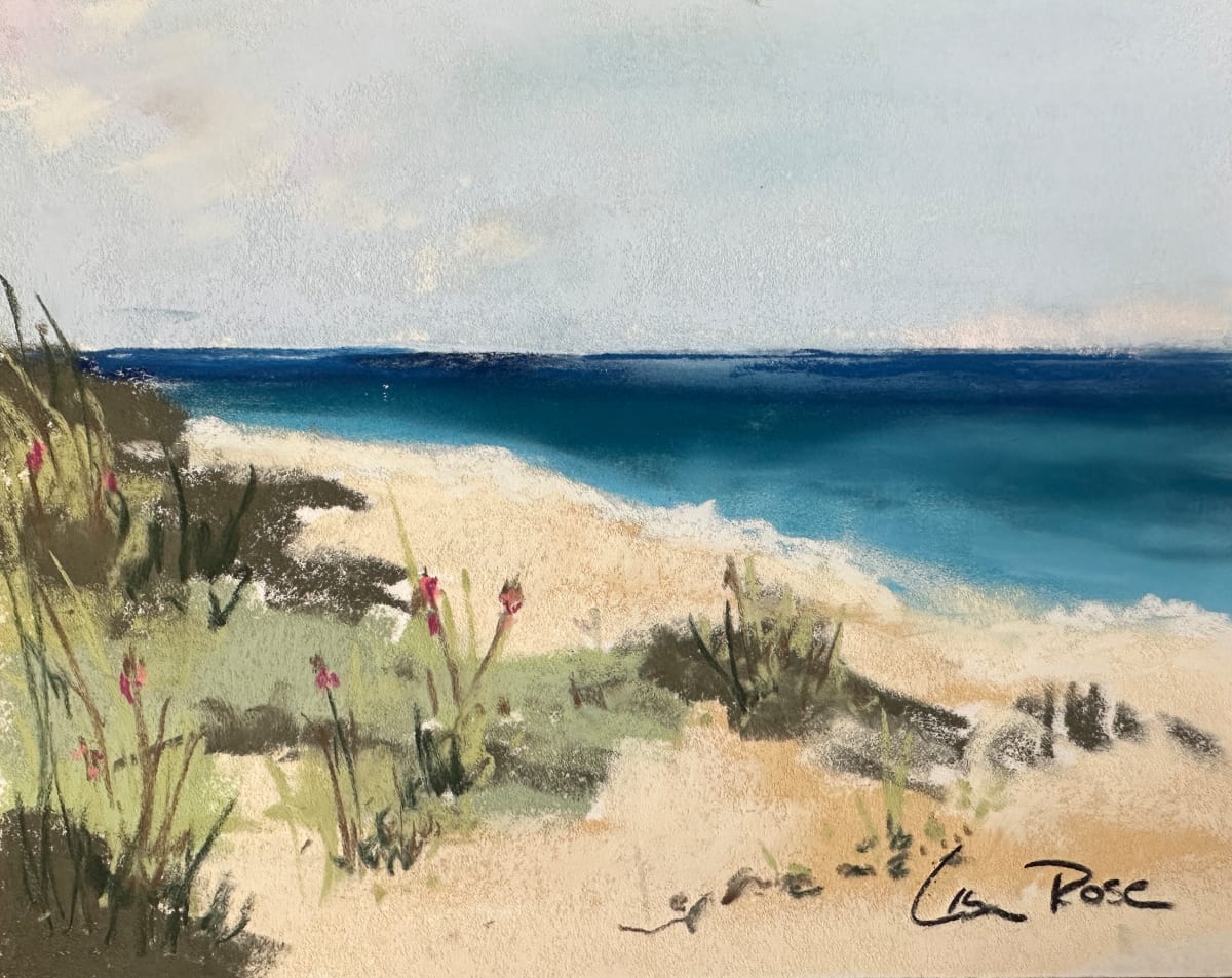 Treasure Shores 2 by Lisa Rose Fine Art 