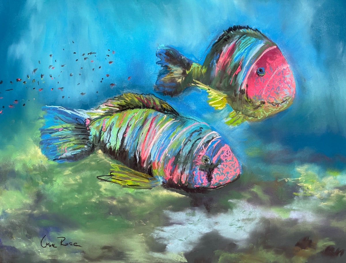 Parrot Fish by Lisa Rose Fine Art 