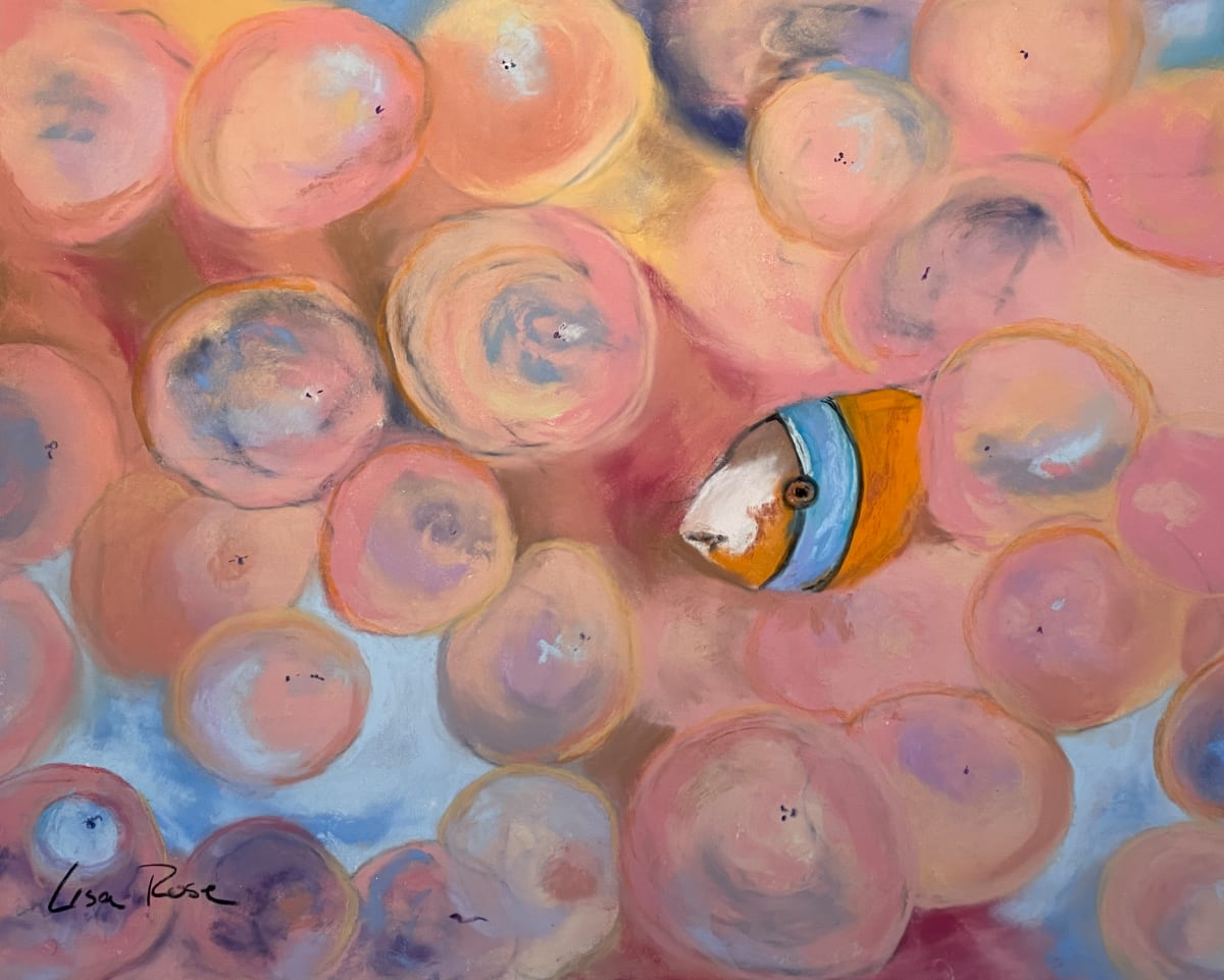 Clown Fish by Lisa Rose Fine Art 