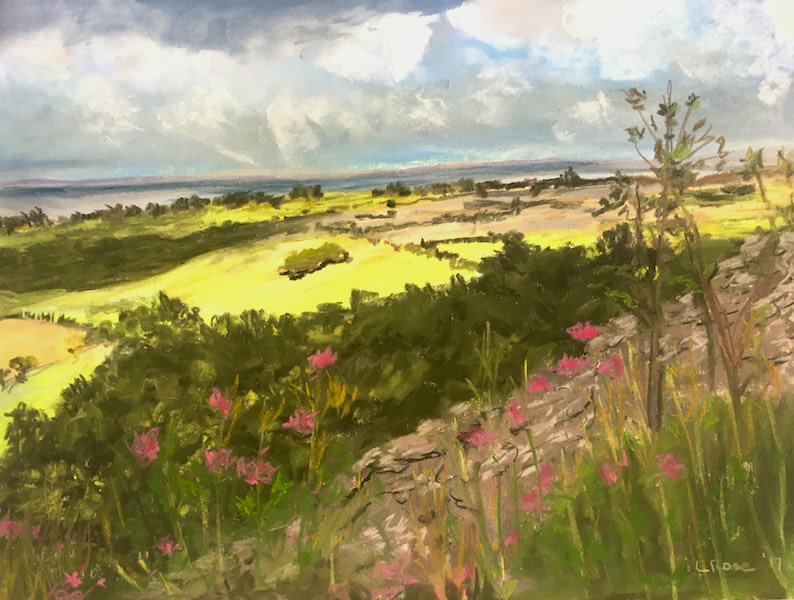 Irish Fields- County Cork by Lisa Rose Fine Art 