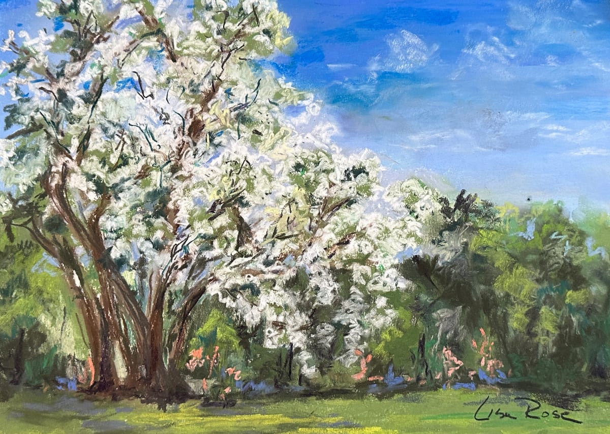 Nature Conservancy by Lisa Rose Fine Art 