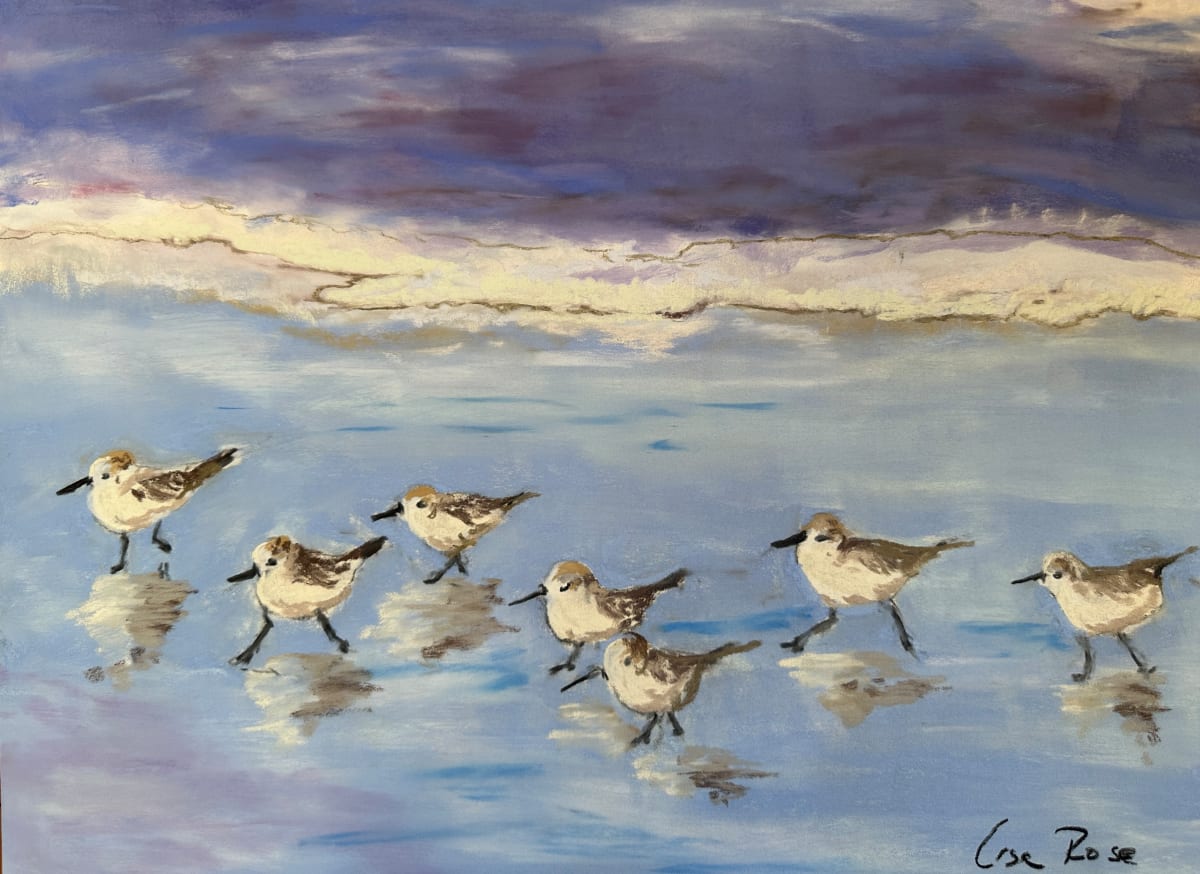 Sanderlings by Lisa Rose Fine Art 