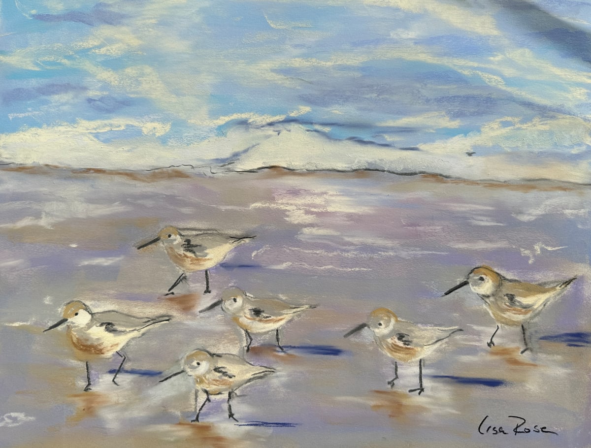 Sanderlings 2 by Lisa Rose Fine Art, Image 1.