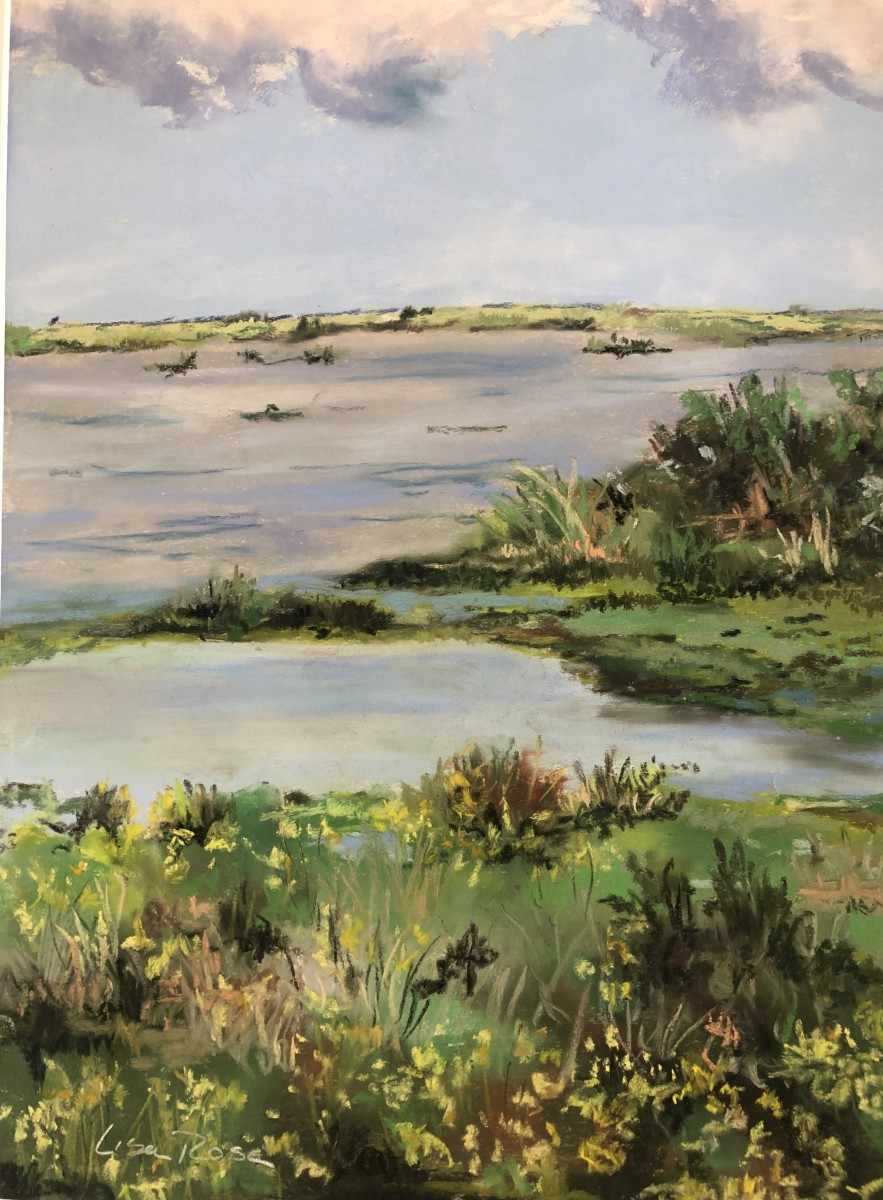 TM Goodwin Preserve by Lisa Rose Fine Art 