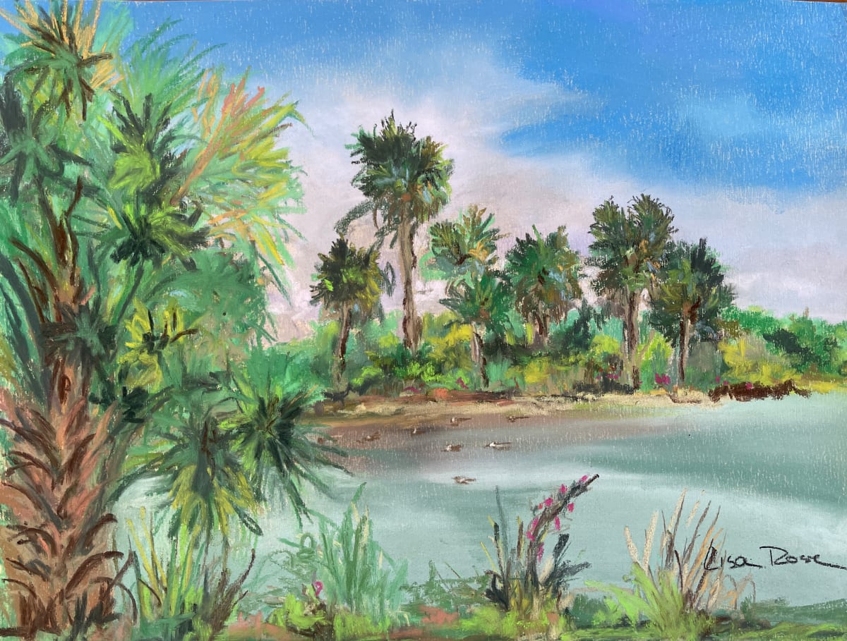 Pelican Island by Lisa Rose Fine Art 