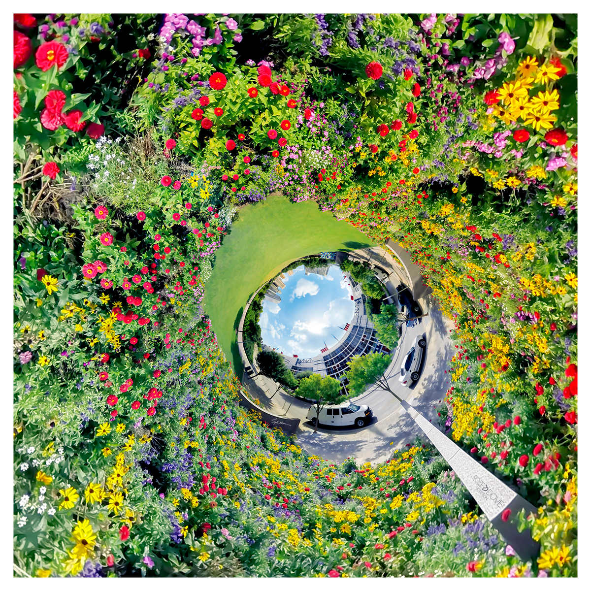 George's Bouquet by Syd Moen 