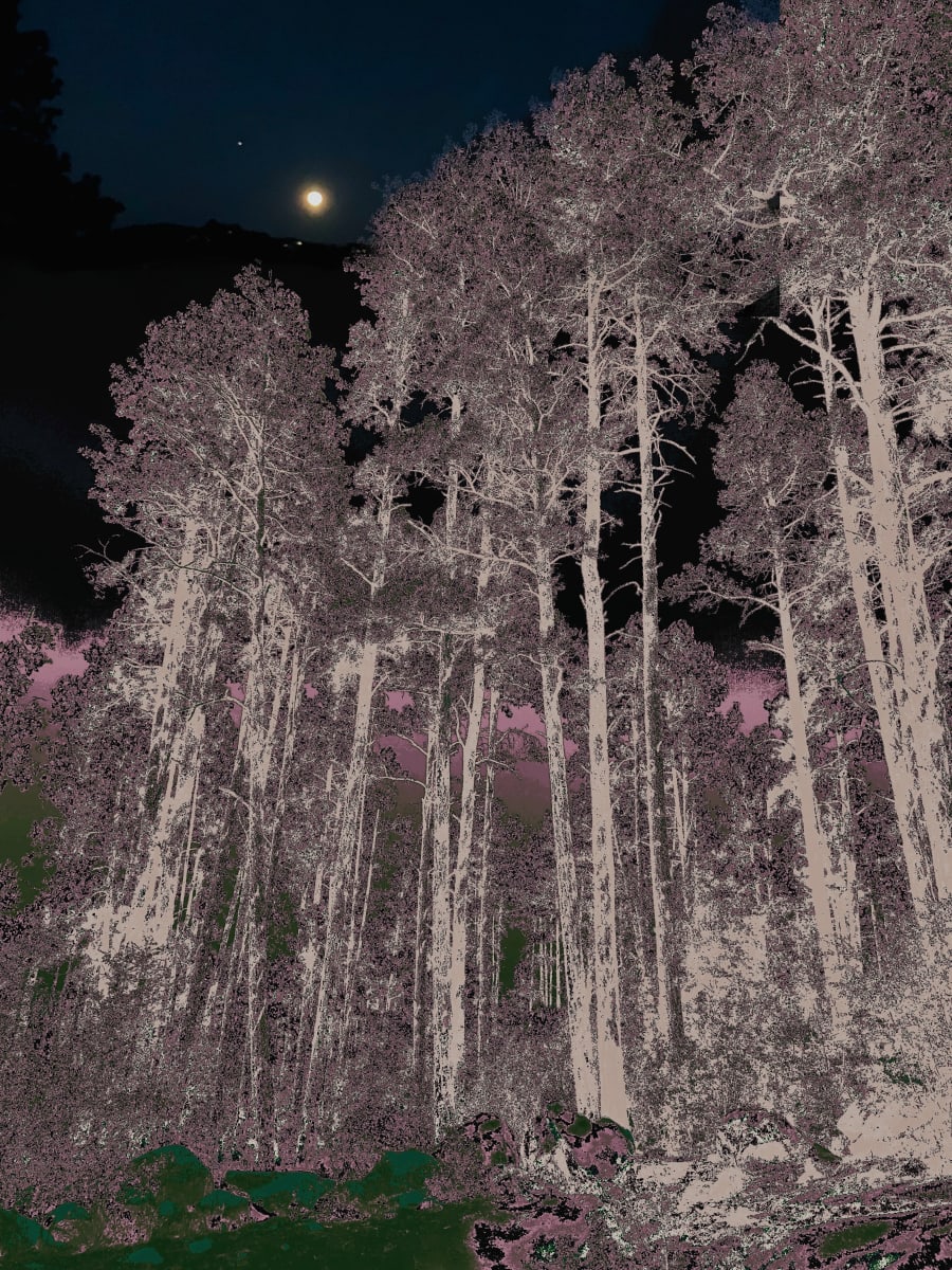 Moon Over Goldwater Lake  Image: Digital Painting on Canvas