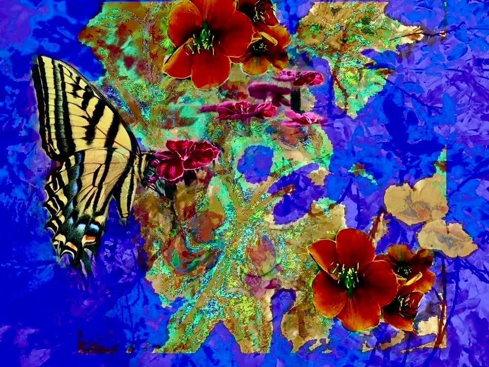 Butterfly Series by Debra Sutherland Core  Fine Art 