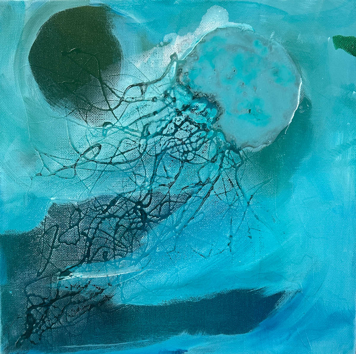 Moon Shadow by Wendy Fee, Image 1.