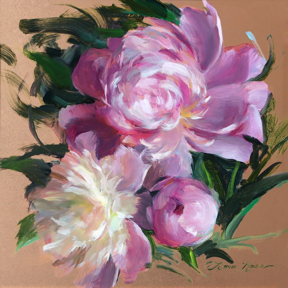 Peony Study 