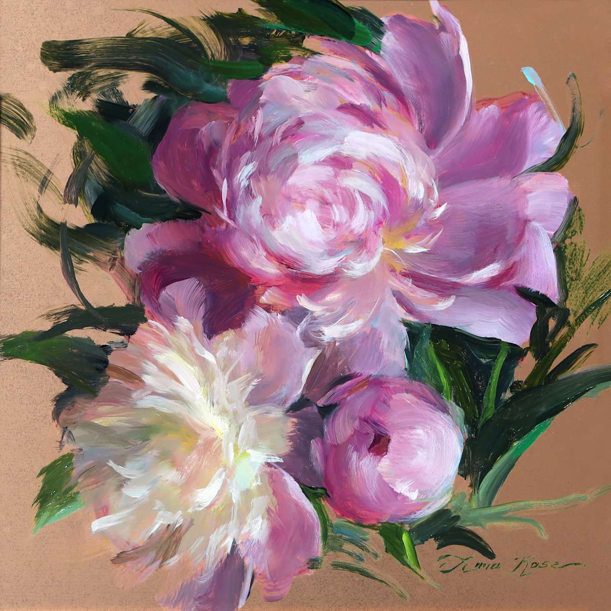 Peony Study, Image 1.