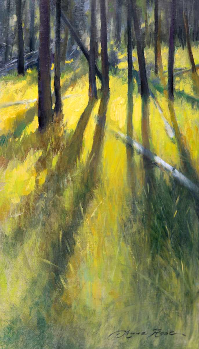 Backlit Pines by Anna Rose Bain 