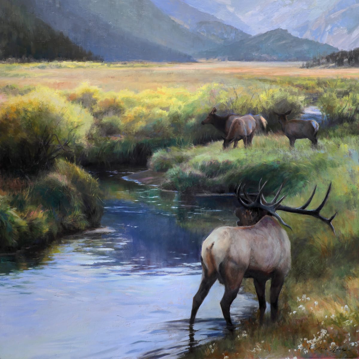 Moraine Valley Elk by Anna Rose Bain  Image: "Moraine Valley Elk," 30x30 inches, oil on panel