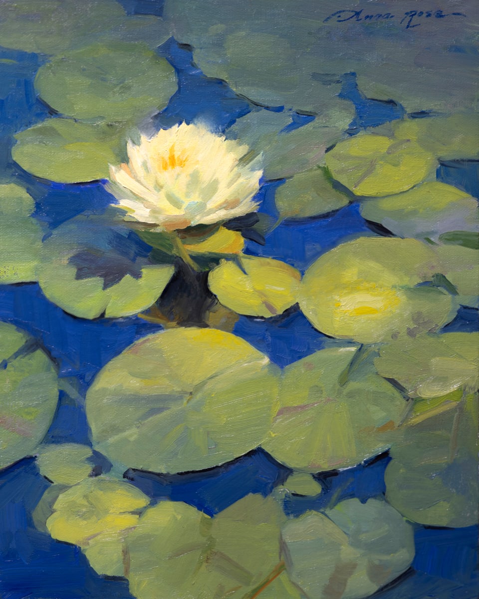 Sunlit Water Lilies by Anna Rose Bain 