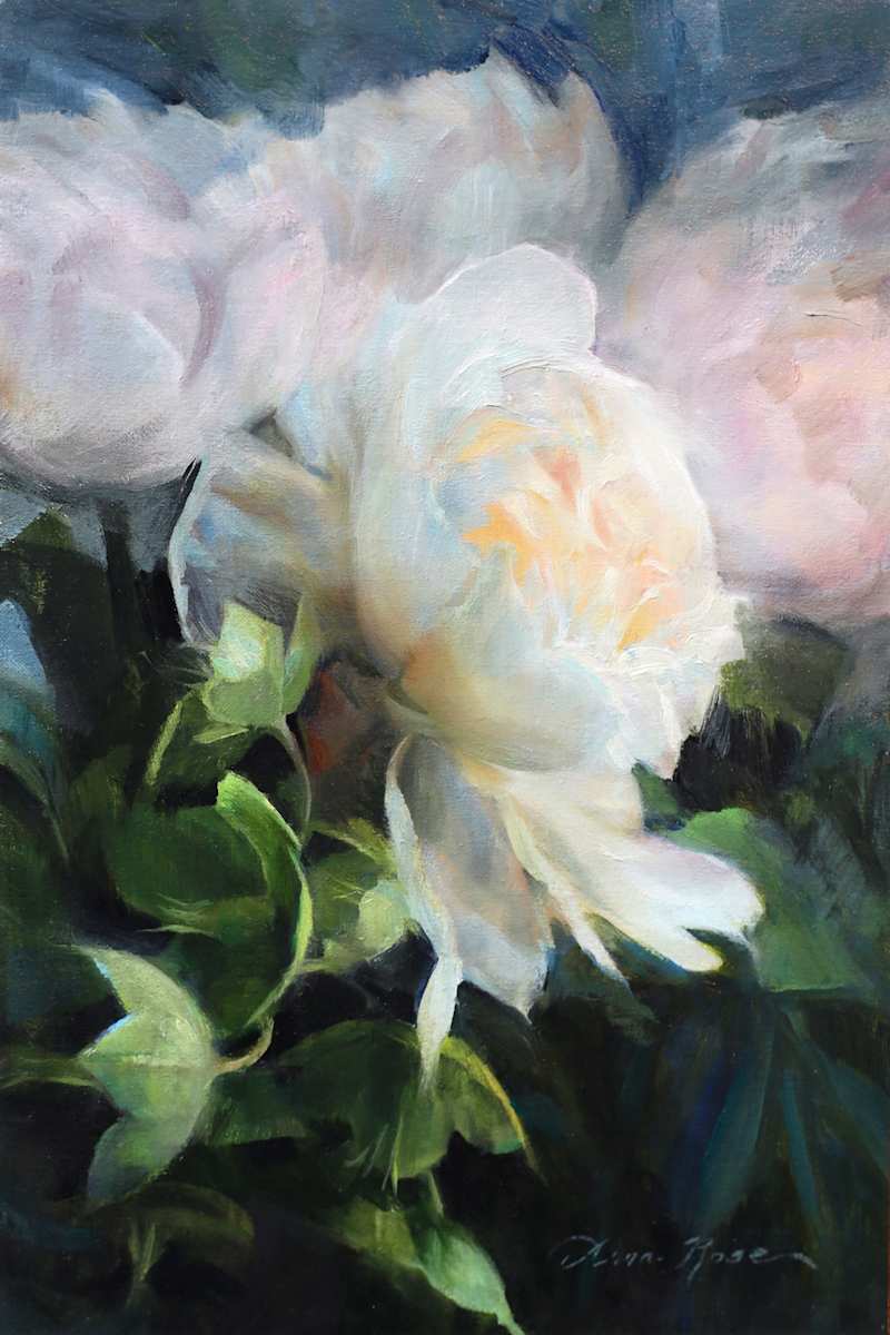 White Peonies in North Light, Image 1.