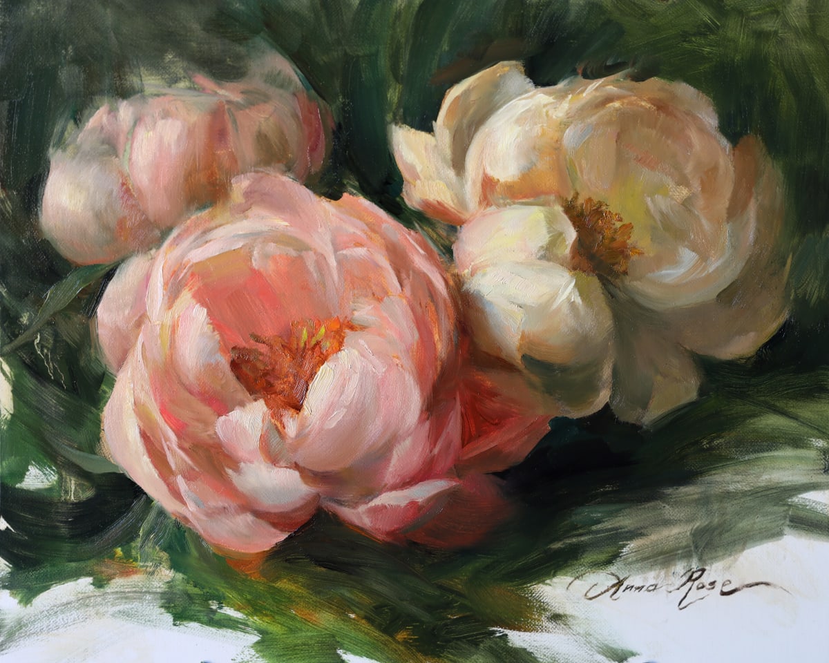 Pale Peonies 