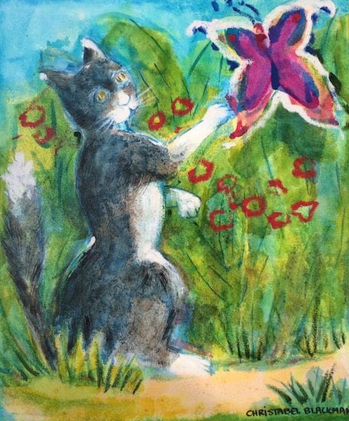 Cat Catcher, Image 1.