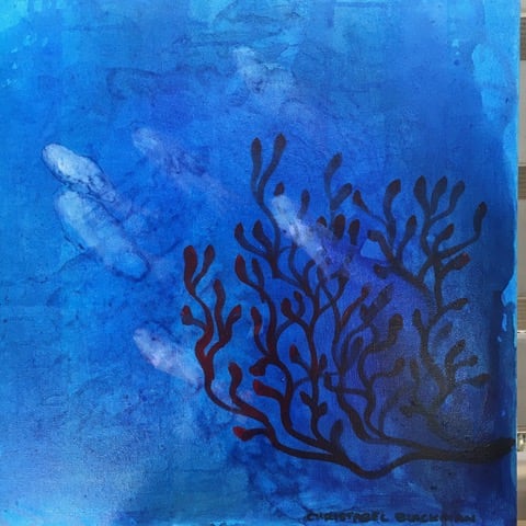 BLUE CORAL DREAM by Christabel Blackman 