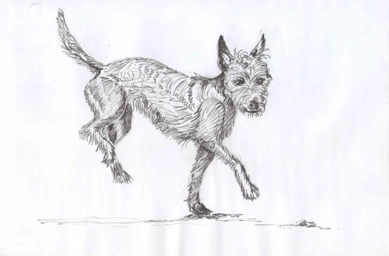 Sophia by Karien Dutton, Image 1.
