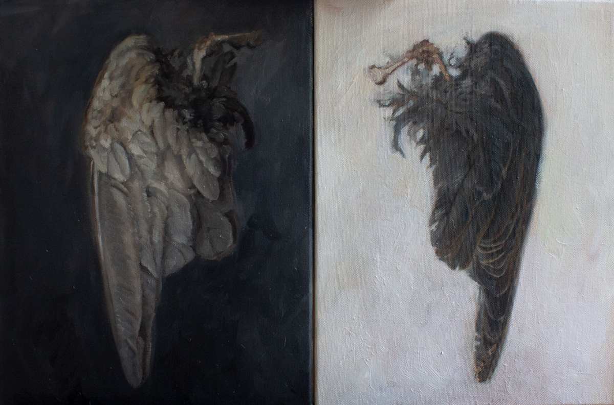Wings, Image 1.