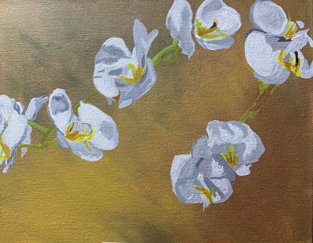 Blossom 3 by Deborah A. Berlin 