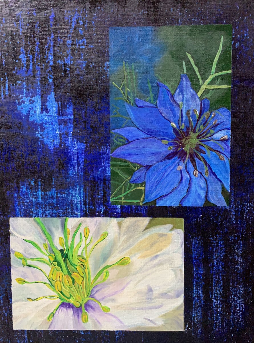 Dual Nigella Study by Deborah A. Berlin, Image 1.