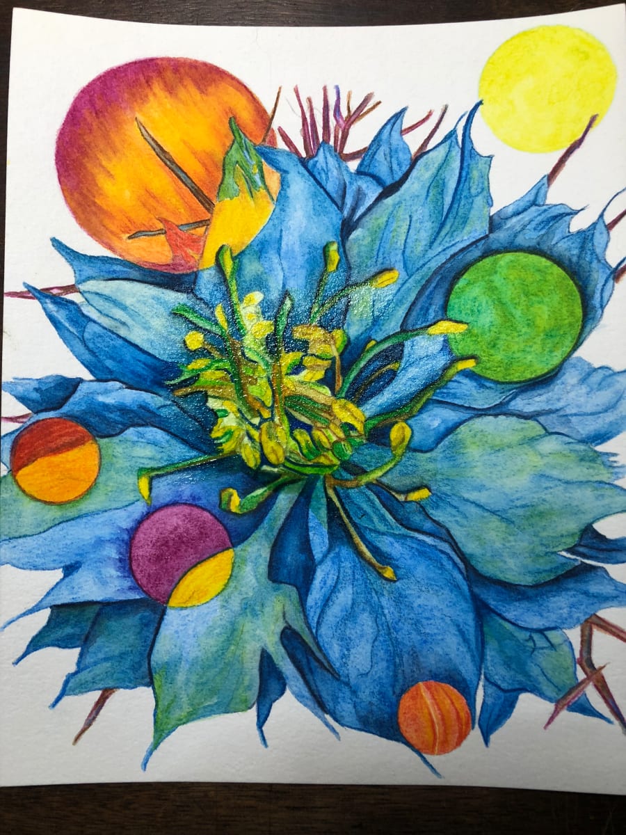 Nigella (w/Orange and Sun) by Deborah A. Berlin, Image 1.