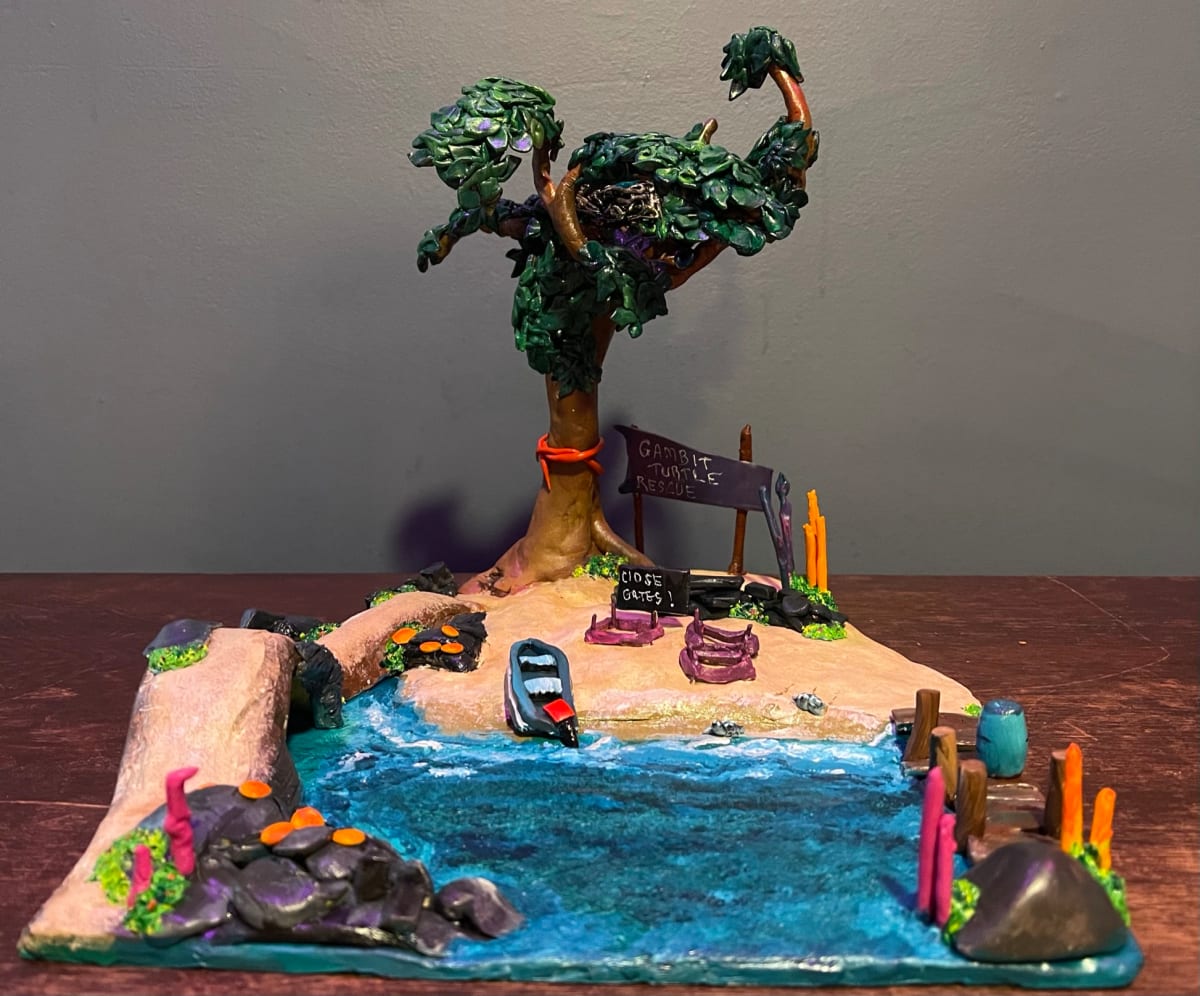 Gambit Turtle Rescue by Deborah A. Berlin, Image 6.