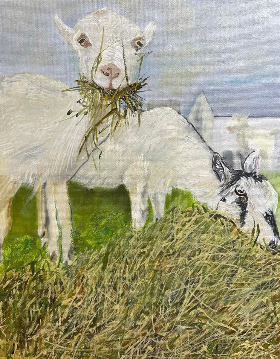 Ardith's Goats I by Deborah A. Berlin 