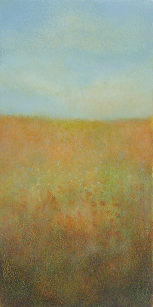 Orange Flower Fields by Jenny Wilson  