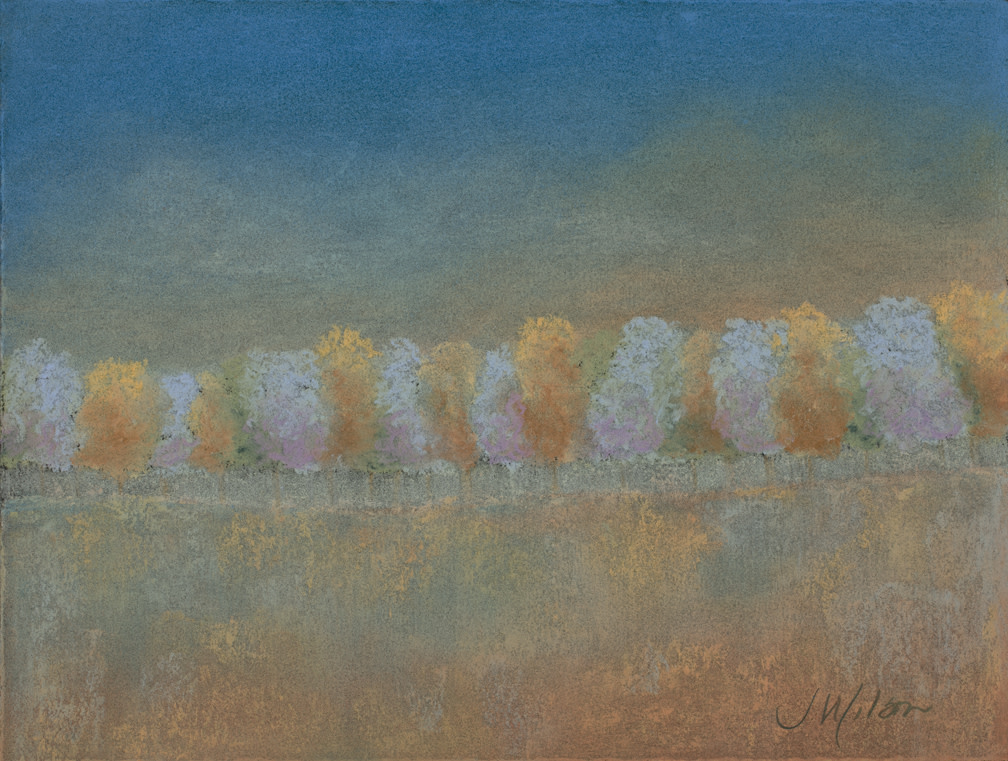Winter Aspens by Jenny Wilson , Image 1.
