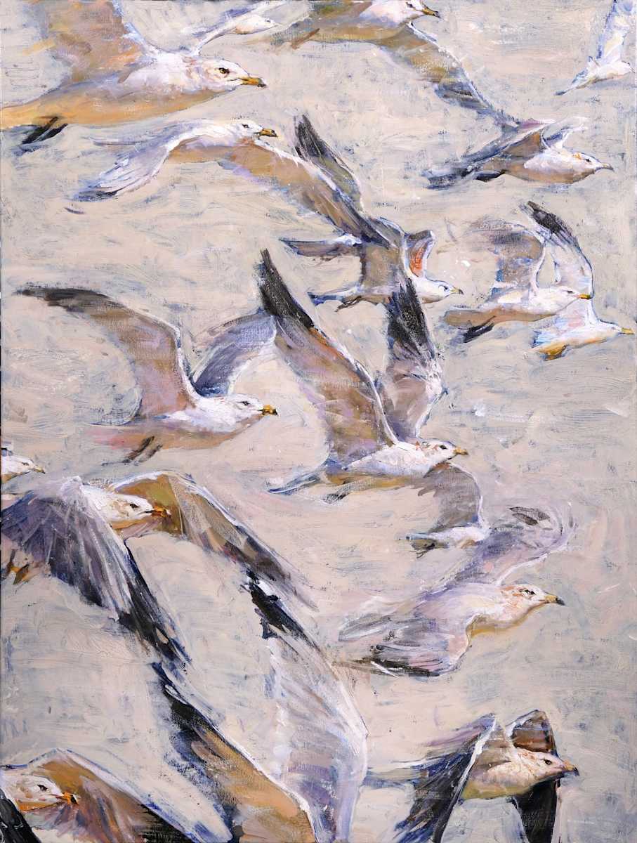 Seagulls, Image 1.